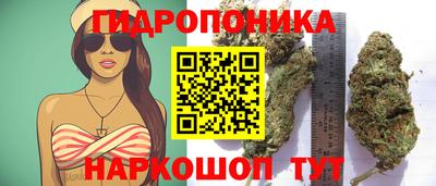 хмурый Ипатово